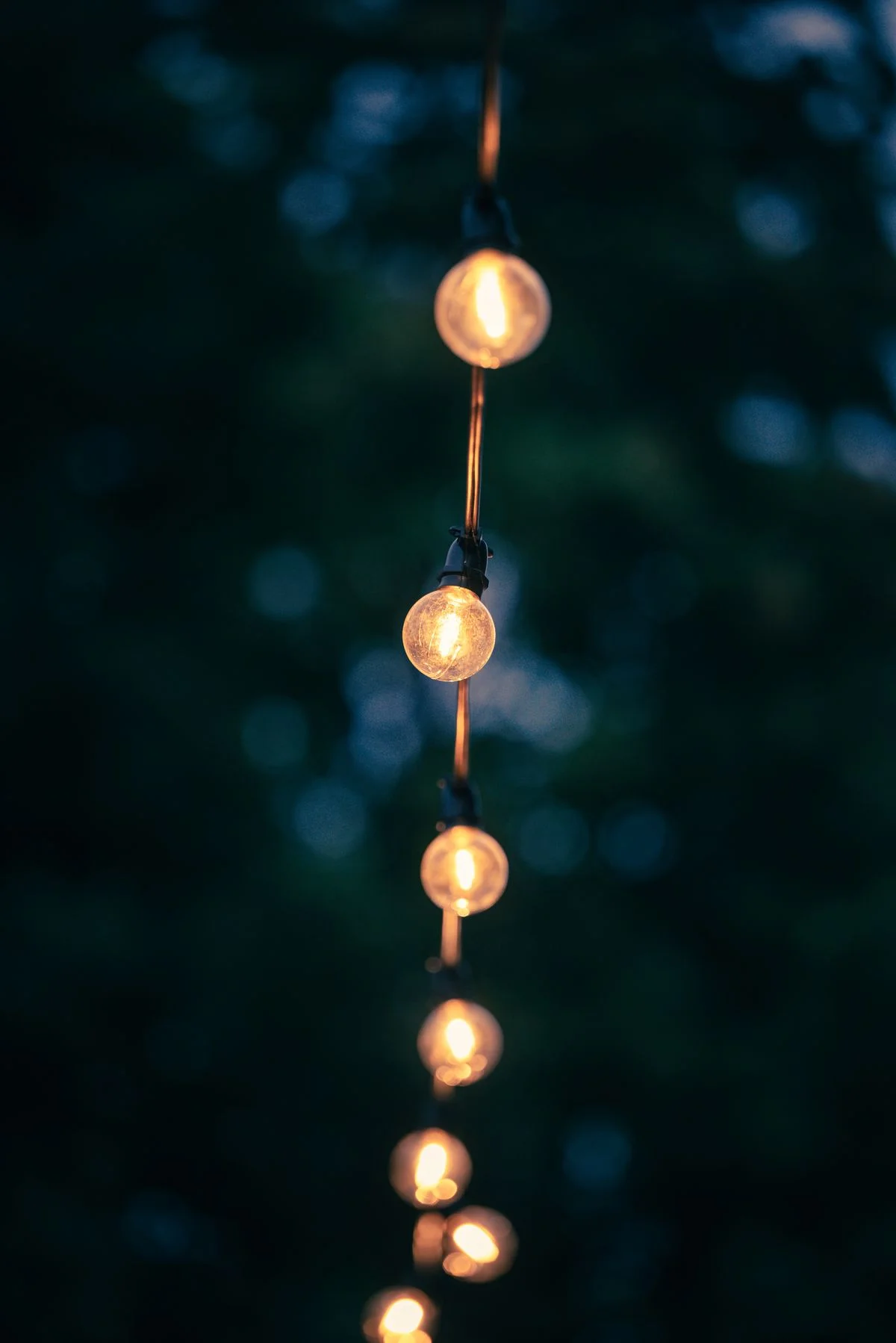 String lights canopy over a garden party area in the evening