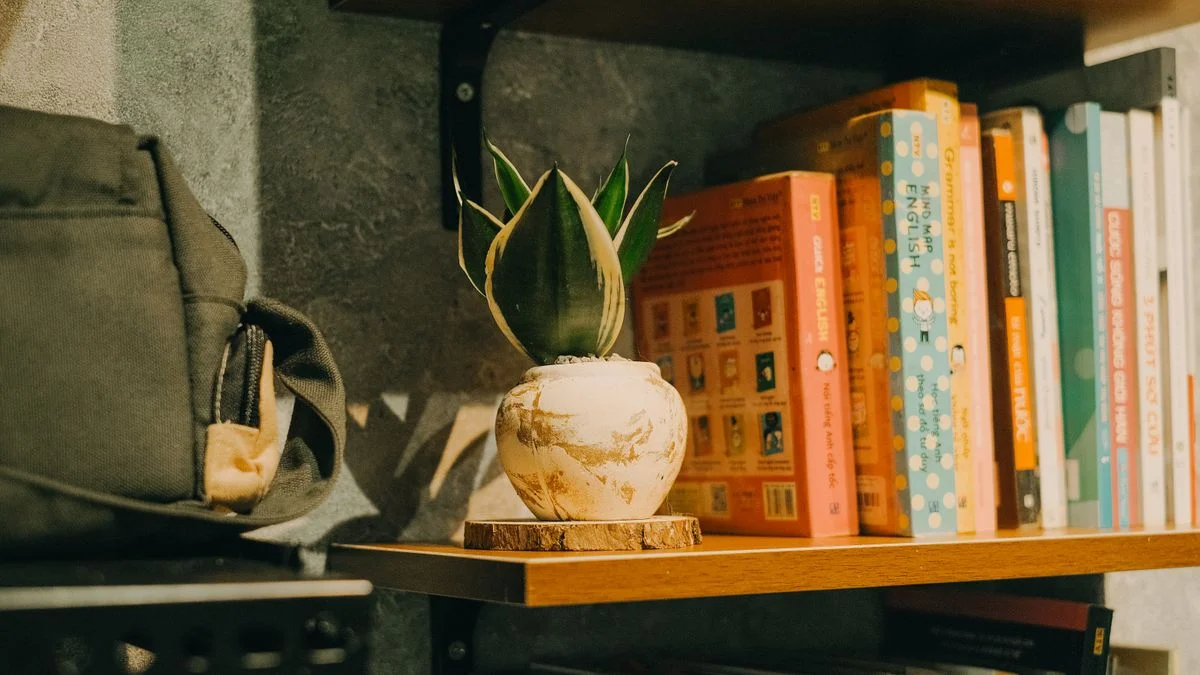 Small potted plant on an office bookshelf among books