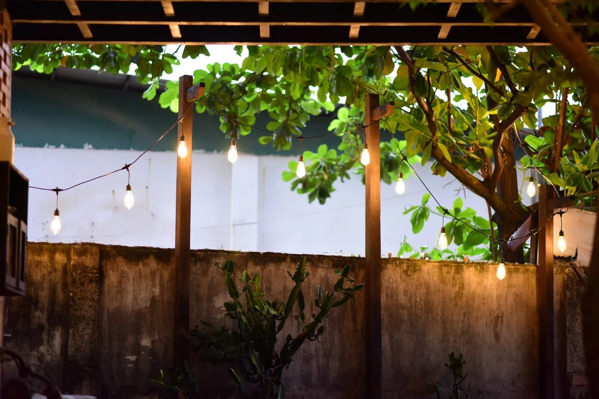 Backyard fence decorated with string lights at dusk