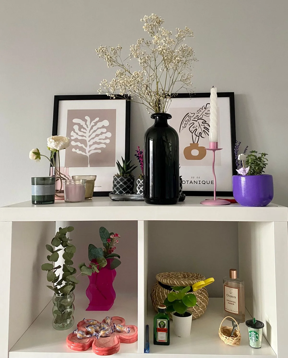 Botanical prints on a living room wall