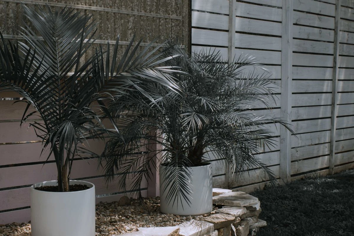 Composite fence panels in a backyard garden
