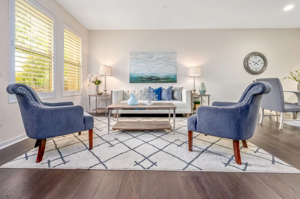 Area rug defining the seating zone in a small living room