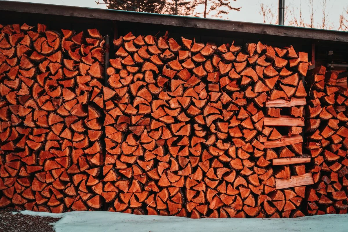 Firewood neatly stacked on a rack inside a shed
